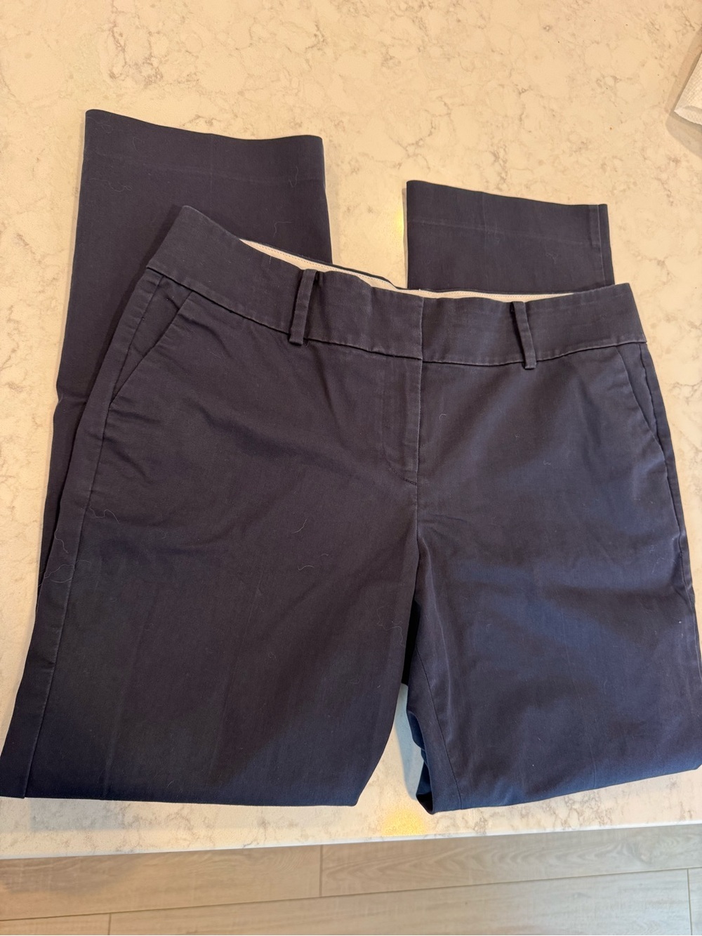 Ann Taylor Navy Tailored Dress Pants